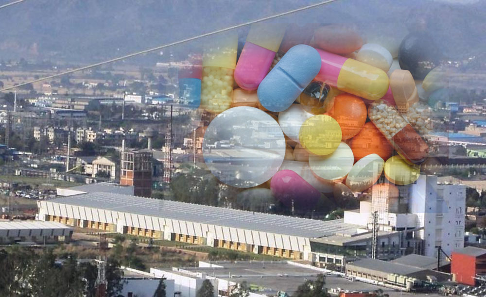 Bulk Drug Park: Case study 2019